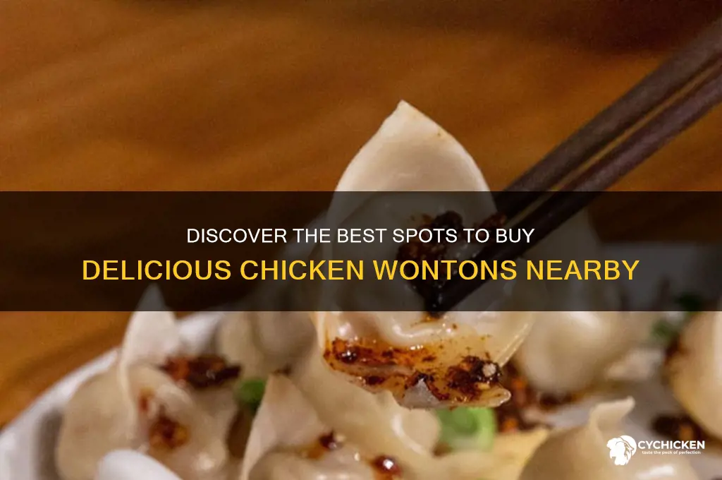 where to buy chicken wontons