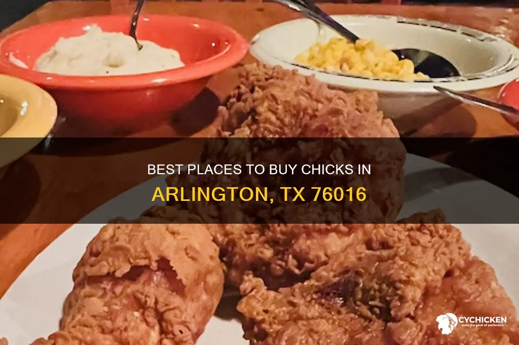 where to buy chicks arlington tx 76016