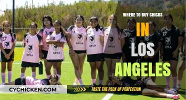 Best Places to Buy Chicks in Los Angeles: A Guide