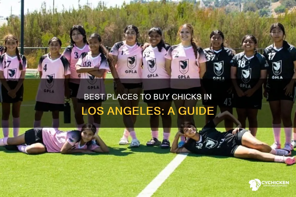 where to buy chicks in los angeles