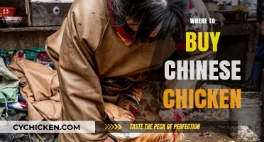 Discover the Best Spots to Buy Authentic Chinese Chicken