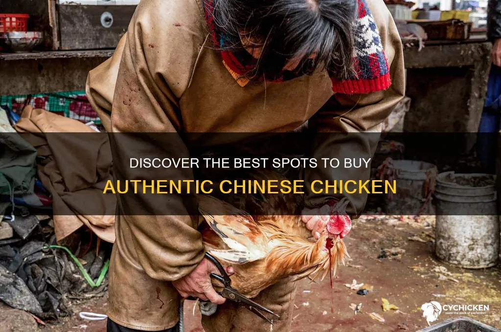 where to buy chinese chicken