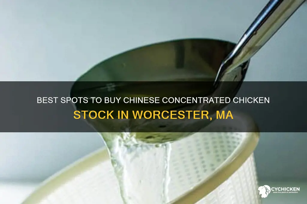 where to buy chinese concentrated chicken stock in worcester ma