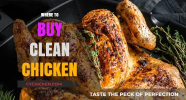 Finding Clean Chicken: Top Sources for Healthy, Ethical Poultry Options