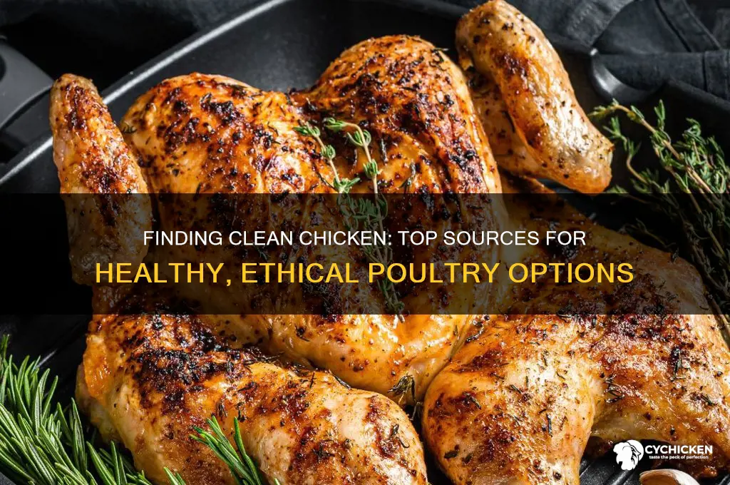 where to buy clean chicken