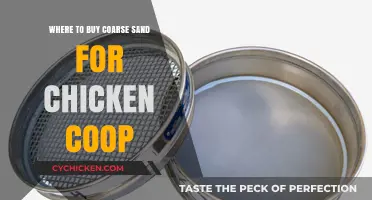 Best Places to Buy Coarse Sand for Your Chicken Coop