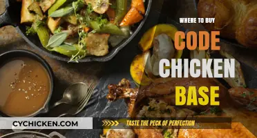 Discover the Best Places to Buy Code Chicken Base Online