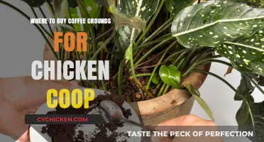 Best Places to Buy Coffee Grounds for Your Chicken Coop