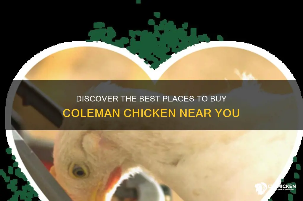 where to buy coleman chicken