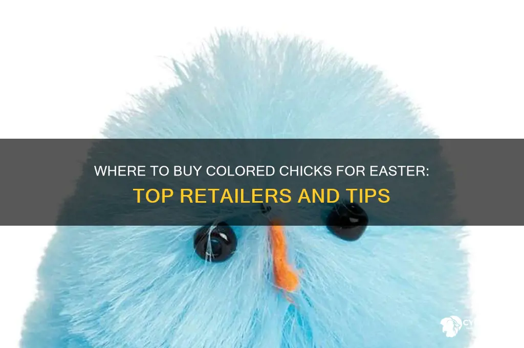 where to buy colored chicks for easter