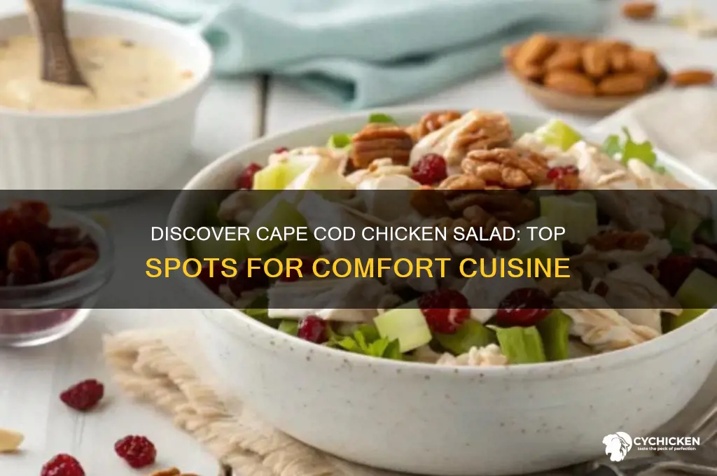 where to buy comfort cuisine cape cod chicken salad