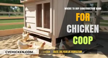 Best Places to Buy Construction Sand for Your Chicken Coop