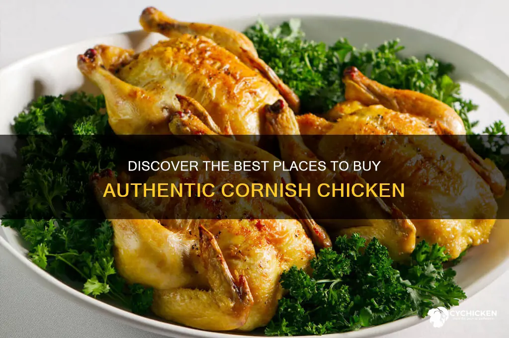 where to buy cornish chicken