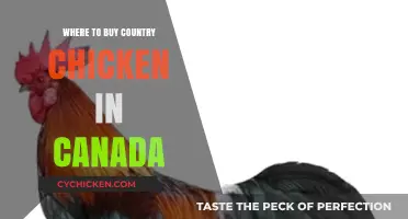 Discover Top Canadian Sources for Authentic Country Chicken Today