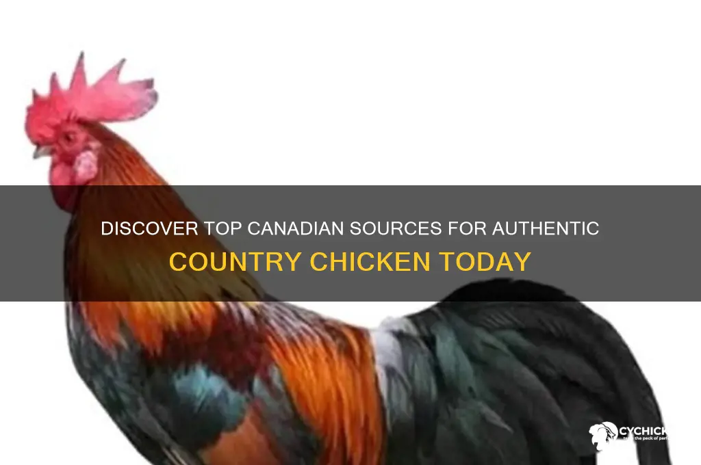 where to buy country chicken in canada