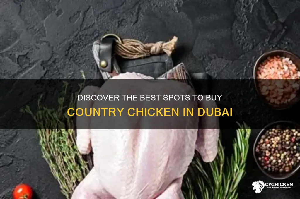 where to buy country chicken in dubai