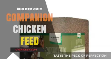 Best Places to Purchase Country Companion Chicken Feed for Your Flock