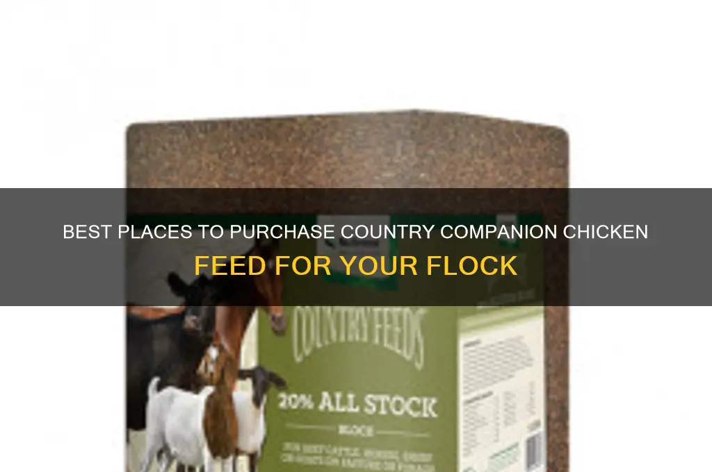 where to buy country companion chicken feed