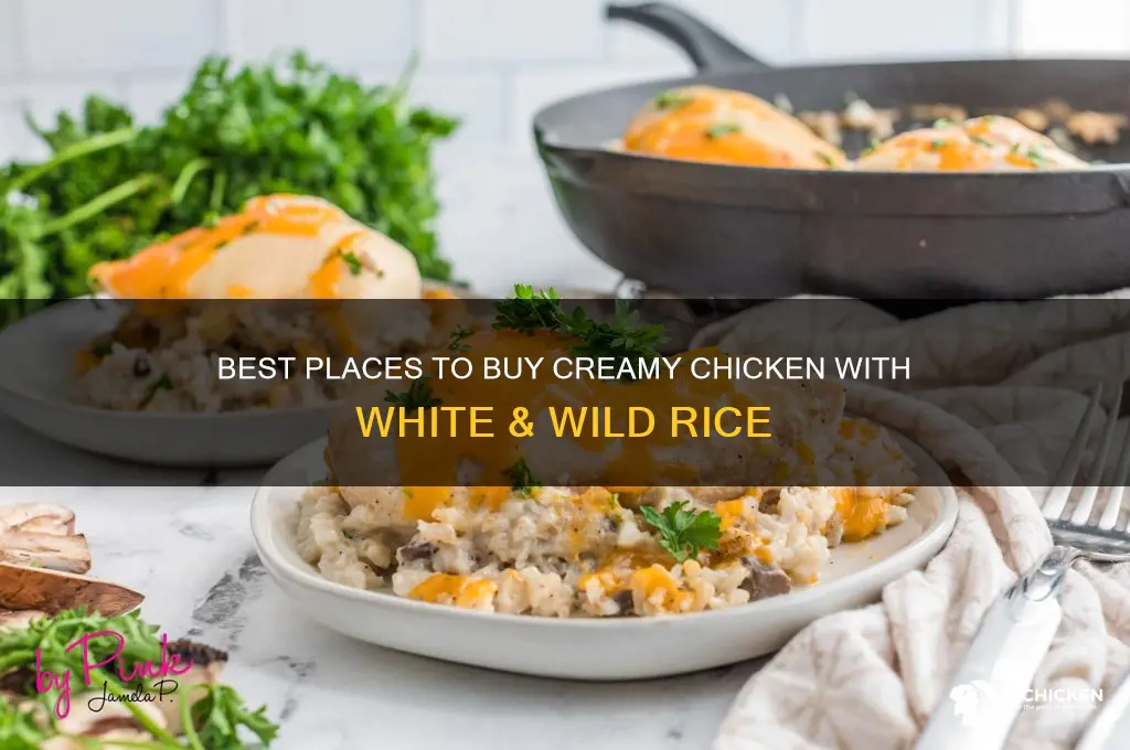 where to buy creamy chicken with white & wild rice