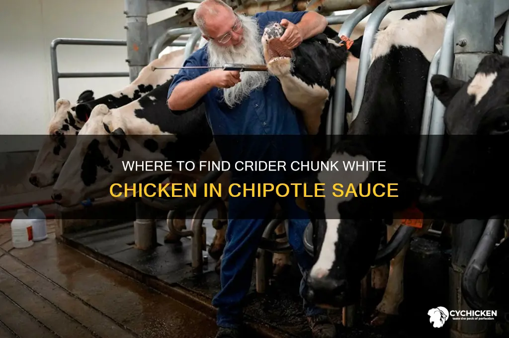 where to buy crider chunk white chicken in chipotle sauce