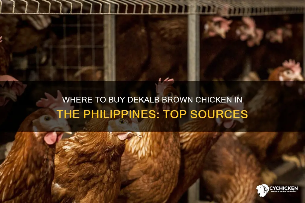 where to buy dekalb brown chicken in the philippines
