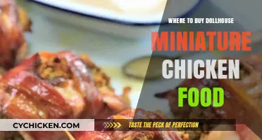 Best Places to Buy Realistic Dollhouse Miniature Chicken Food Online