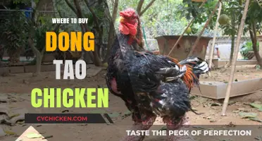 Discover the Best Sources to Buy Authentic Dong Tao Chicken