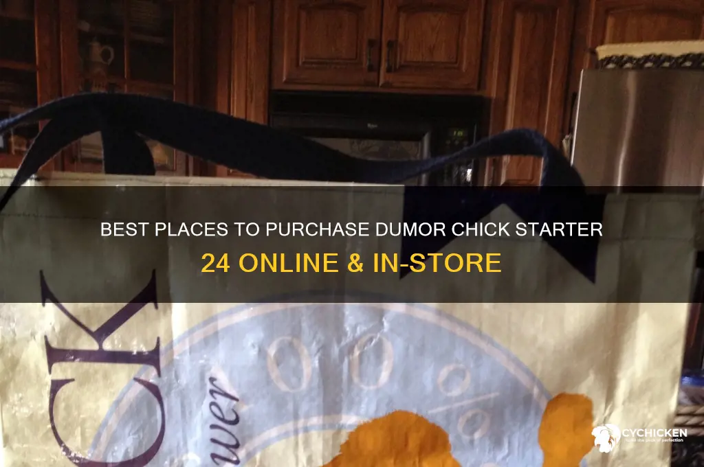 where to buy dumor chick starter 24
