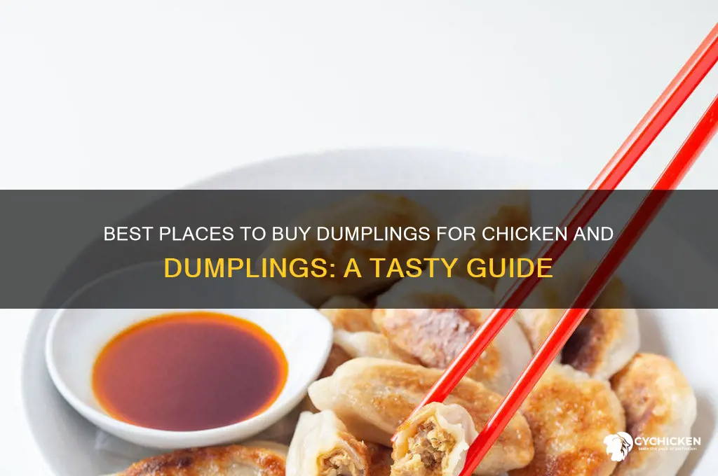 where to buy dumpling for chicken and dumplings