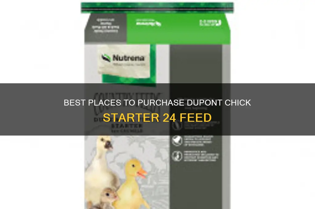 where to buy dupont chick starter 24