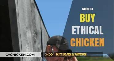 Find Ethical Chicken: Best Sources for Sustainable, Humane Poultry
