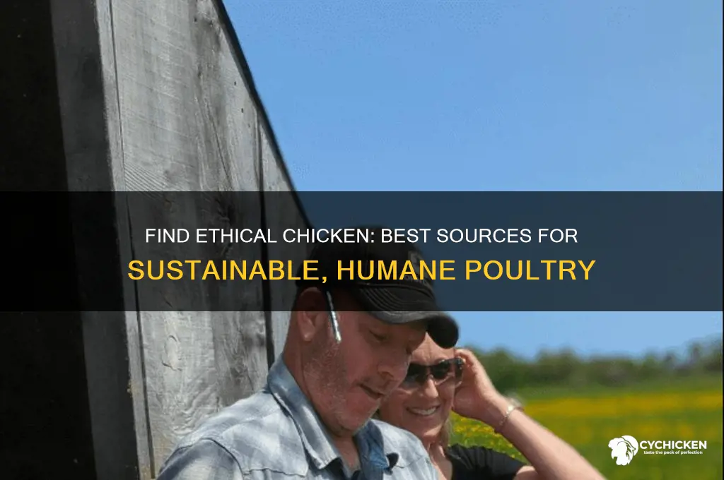 where to buy ethical chicken