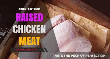Discover the Best Sources for Farm-Raised Chicken Meat
