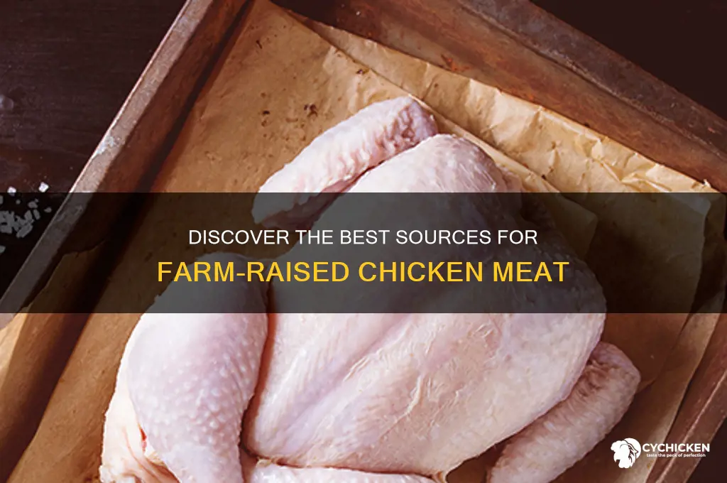 where to buy farm raised chicken meat