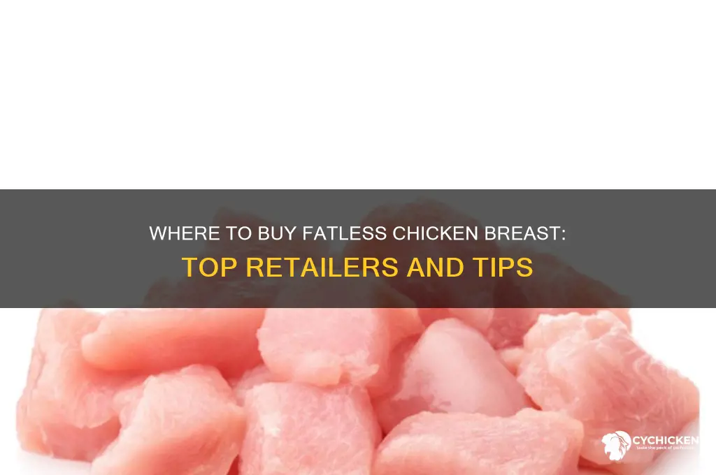 where to buy fatless chicken brest