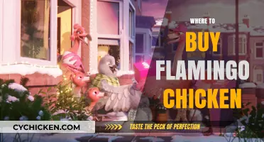 Discover the Best Places to Buy Flamingo Chicken Online & In-Store