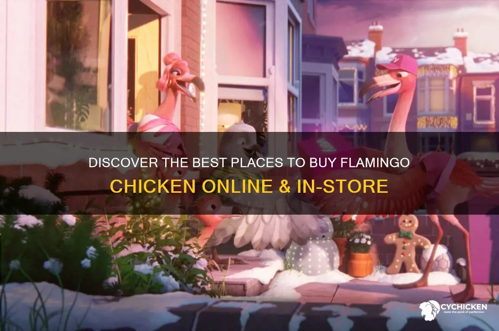 where to buy flamingo chicken