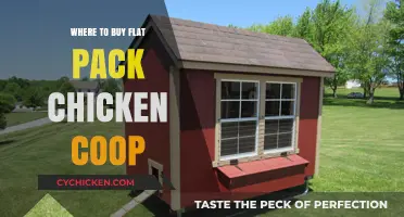 Top Places to Purchase Flat Pack Chicken Coops Online