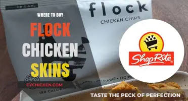 Best Places to Purchase Flock Chicken Skins for Crispy Snacks