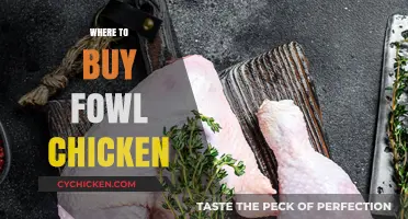 Best Places to Purchase Fresh Fowl Chicken Near You