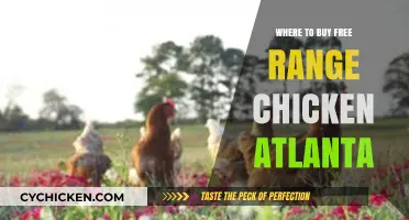 Where to Buy Free-Range Chicken in Atlanta: Top Local Sources