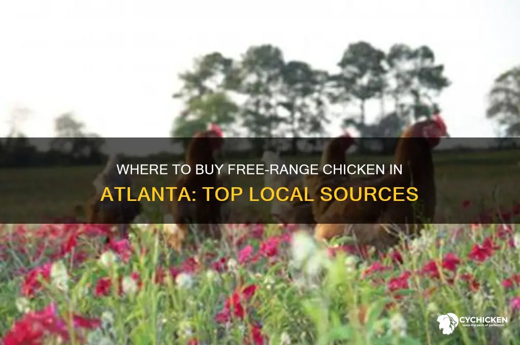 where to buy free range chicken atlanta