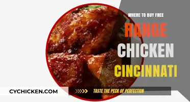 Cincinnati's Best Sources for Free-Range Chicken: A Buyer's Guide