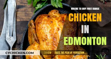 Edmonton's Best Spots for Free-Range Chicken: A Buyer's Guide