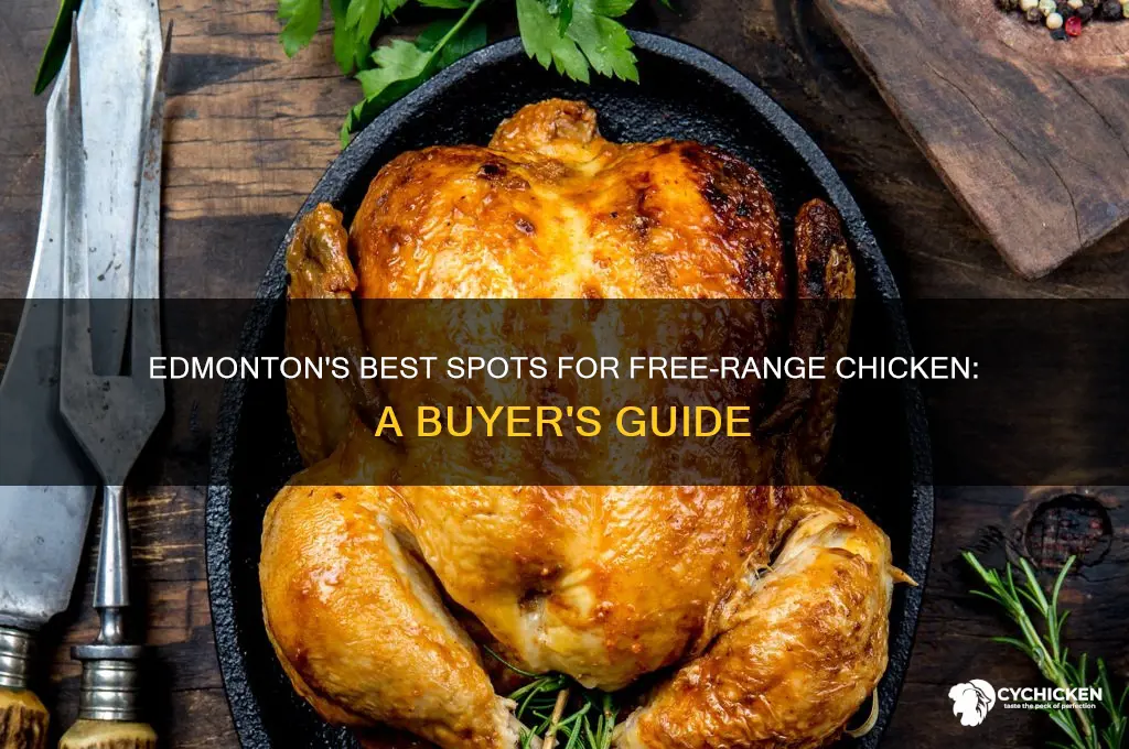 where to buy free range chicken in edmonton