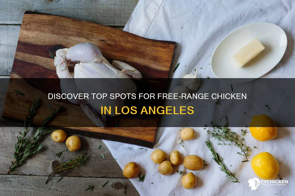 where to buy free range chicken in los angeles