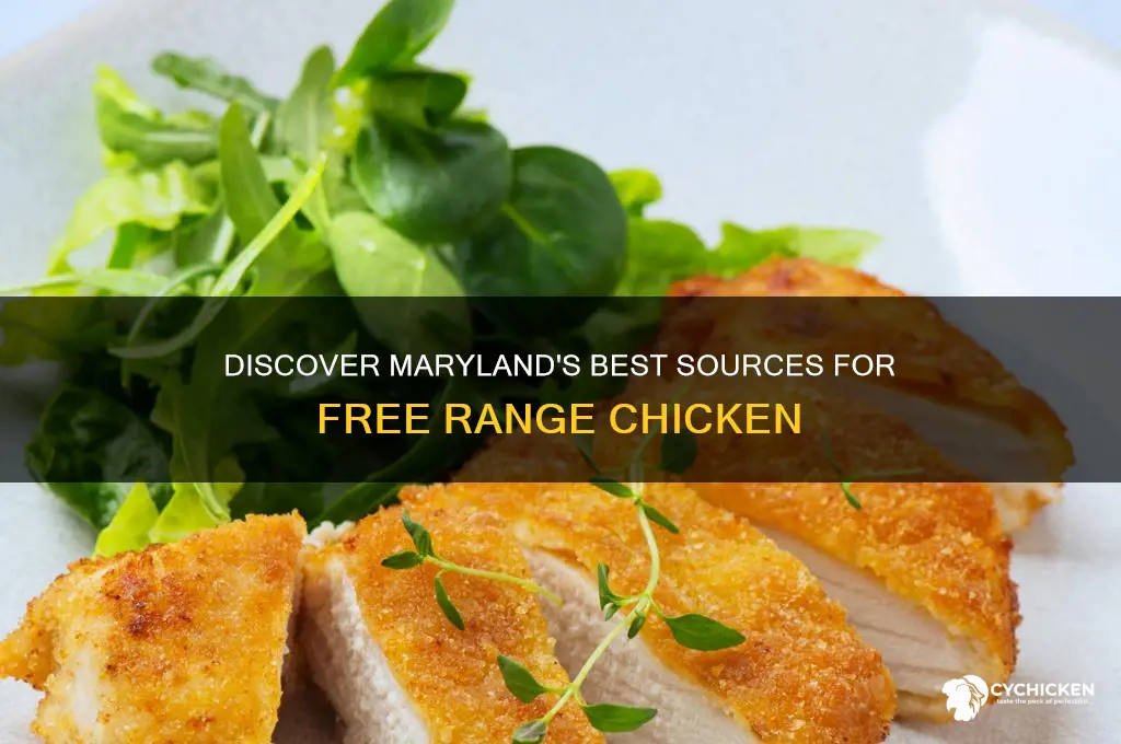 where to buy free range chicken in maryland