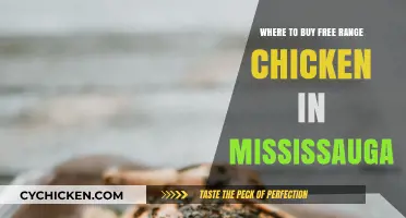 Discover Top Spots for Free Range Chicken in Mississauga