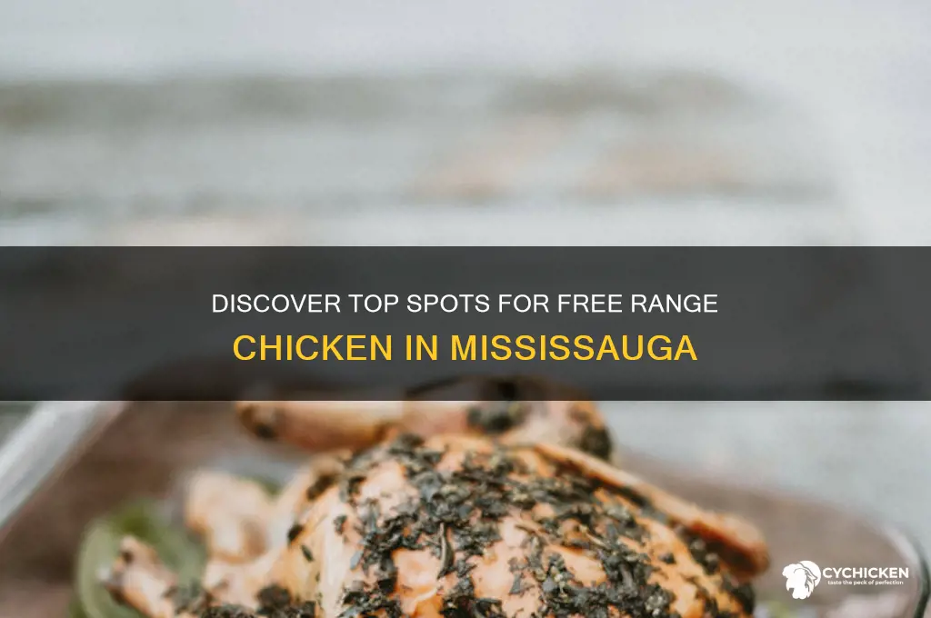 where to buy free range chicken in mississauga