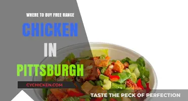 Discover Pittsburgh's Best Sources for Free Range Chicken